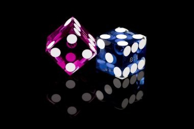 total4d Your Home puts six game paths within reach